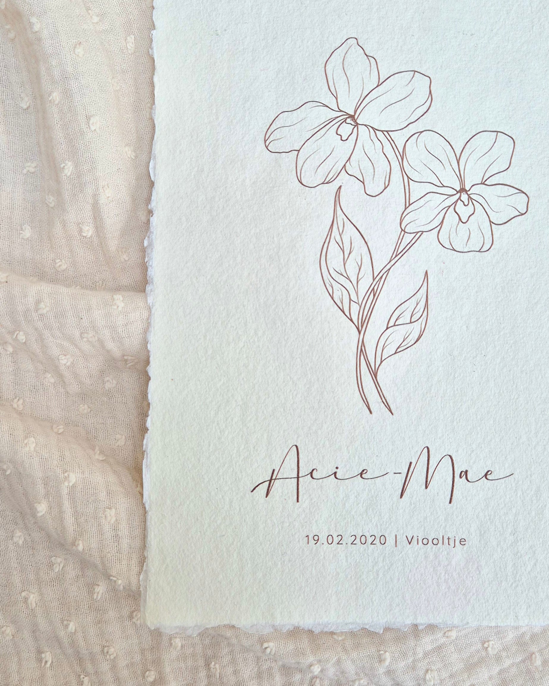 Geboortebloem Februari – Viooltje