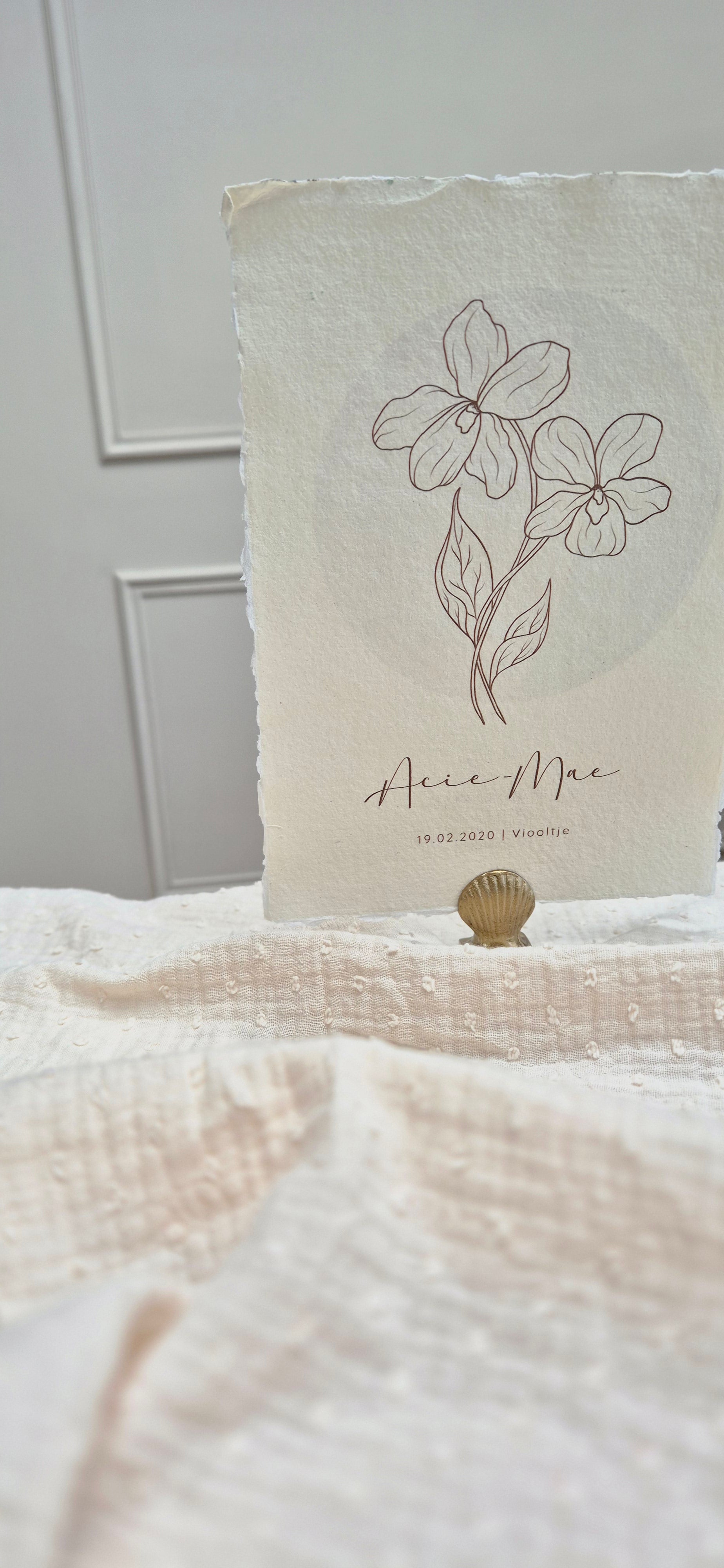 poster geboortebloem van februari, het viooltje