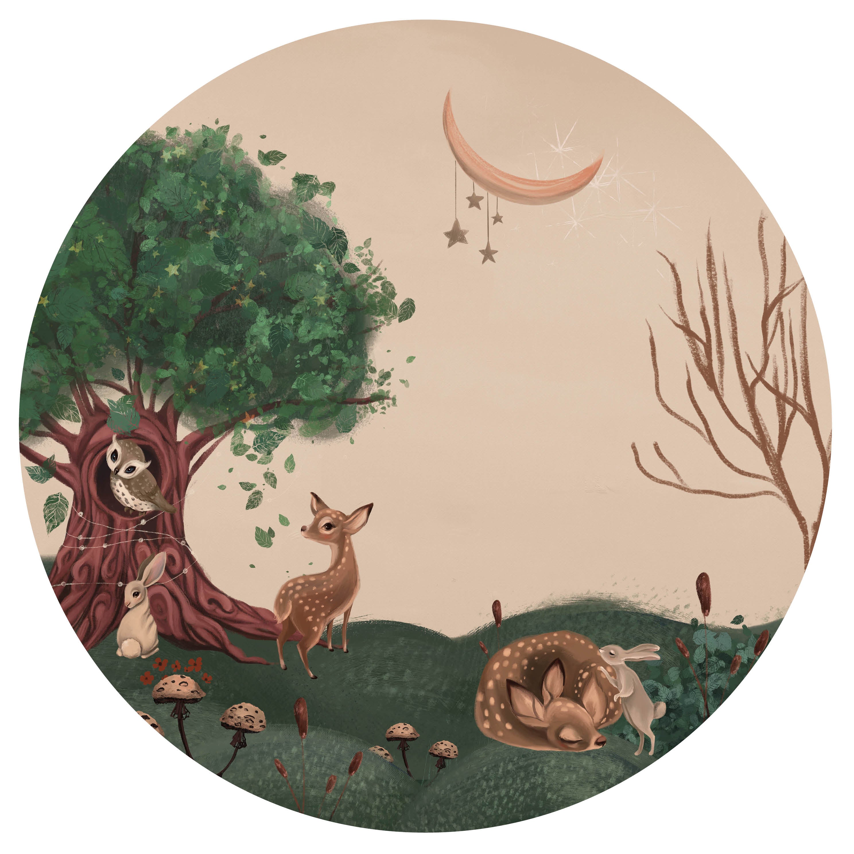 Wallpaper circle - Enchanted Forest