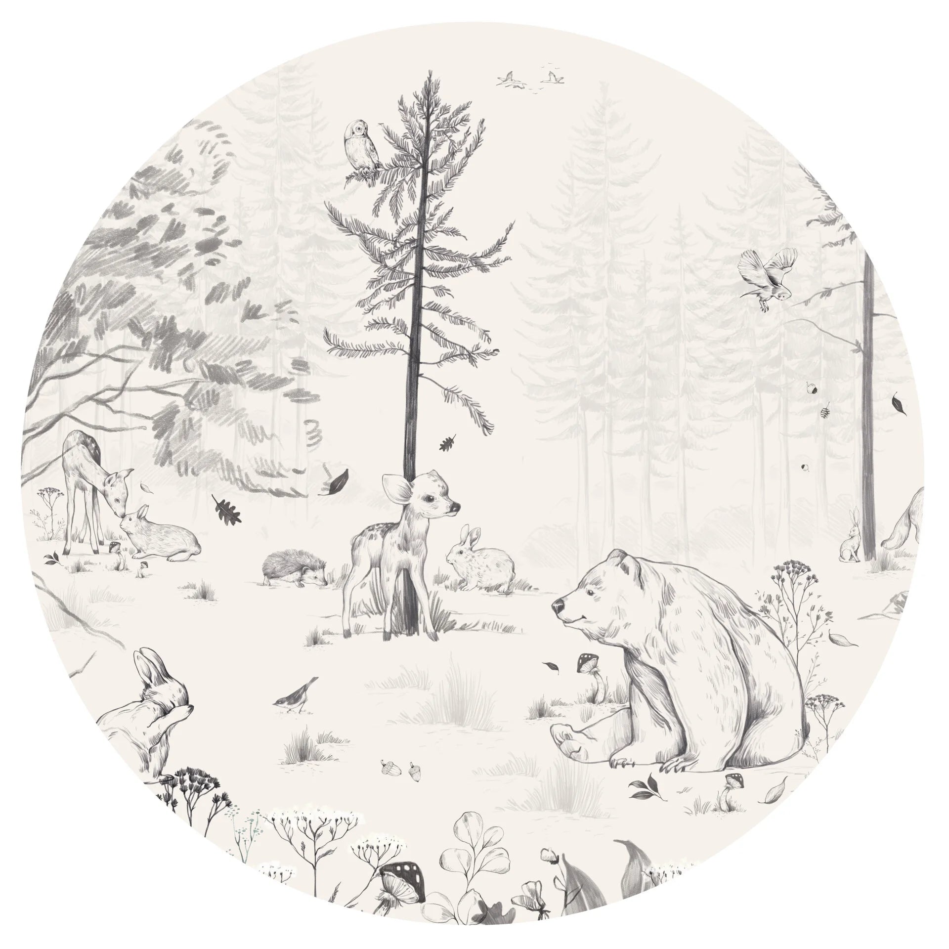 Wallpaper circle - Into the Forest