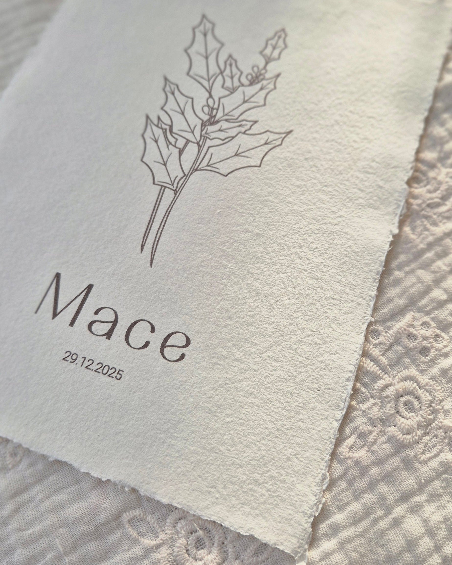 Birth flower December – Holly