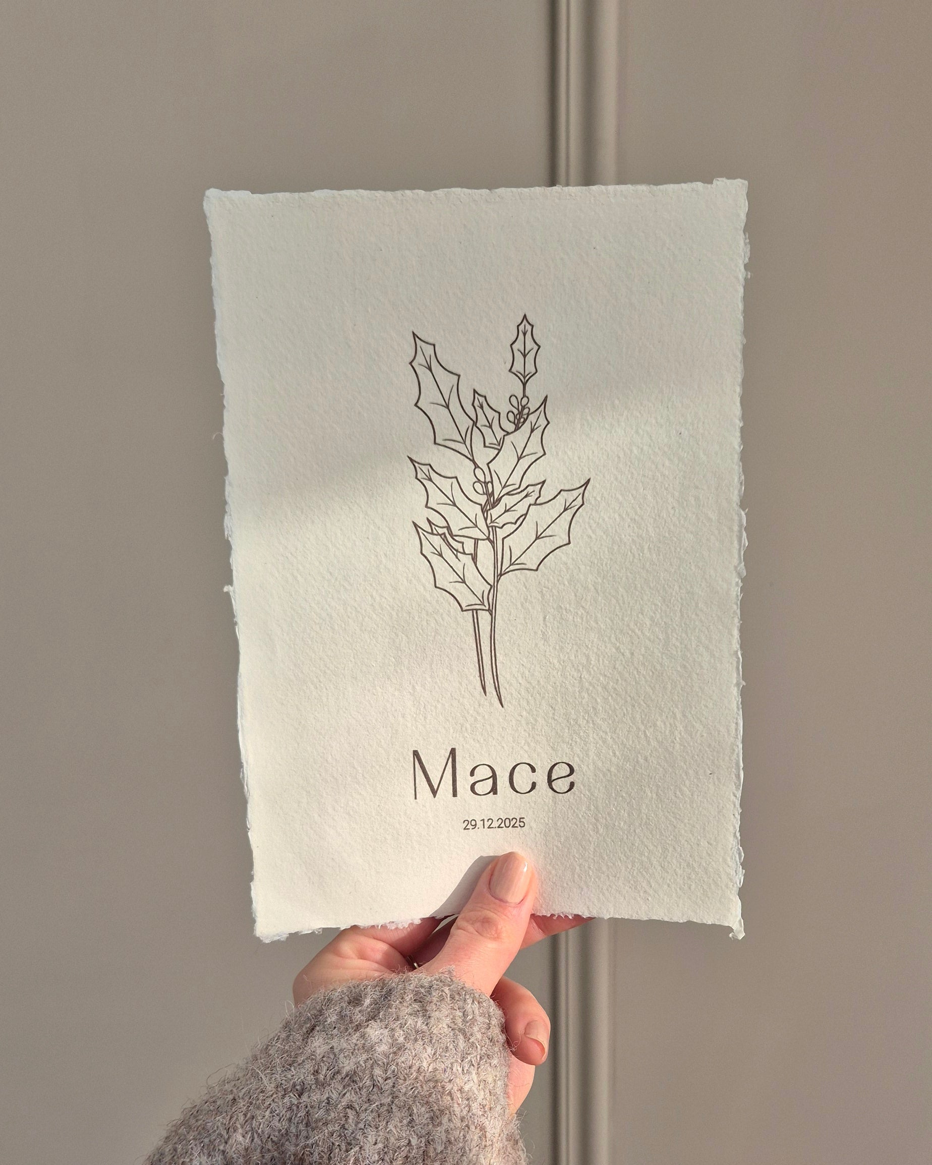 Geboortebloem december