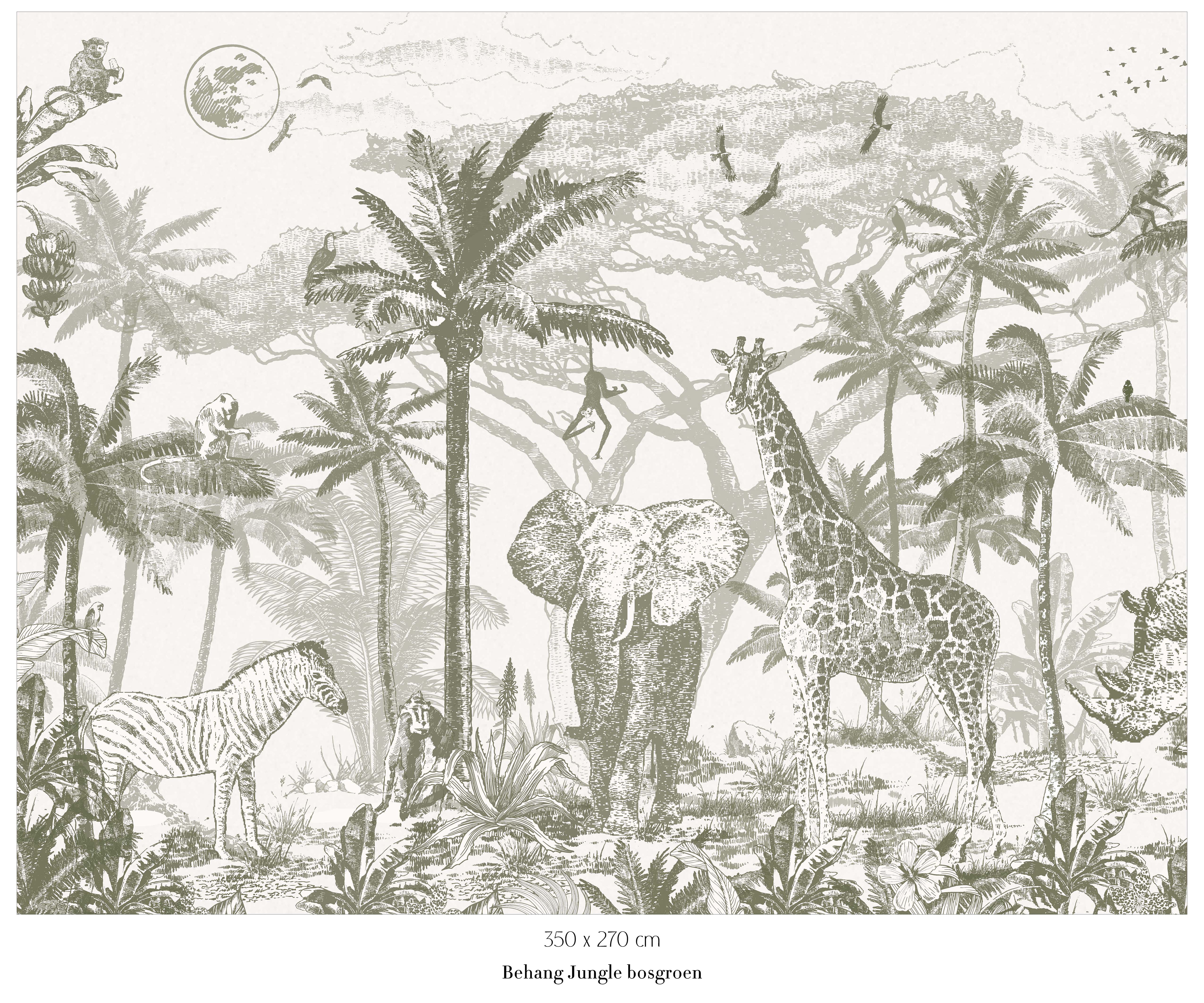 Collage behang Jungle - bosgroen